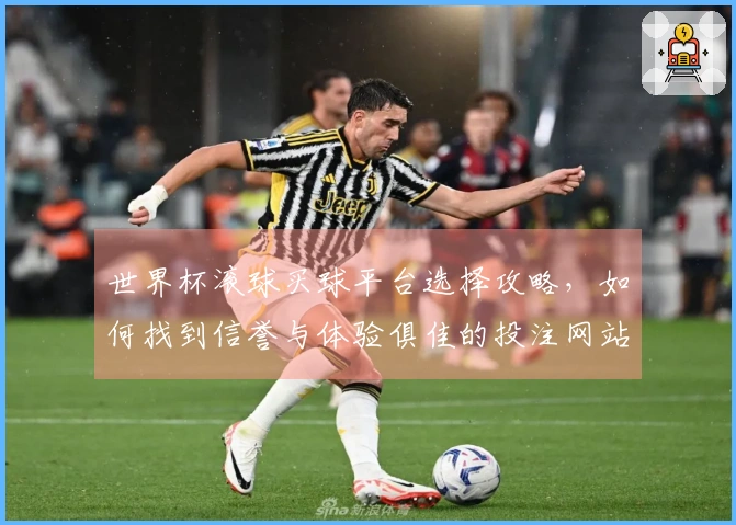 世界杯滚球买球平台选择攻略，如何找到信誉与体验俱佳的投注网站