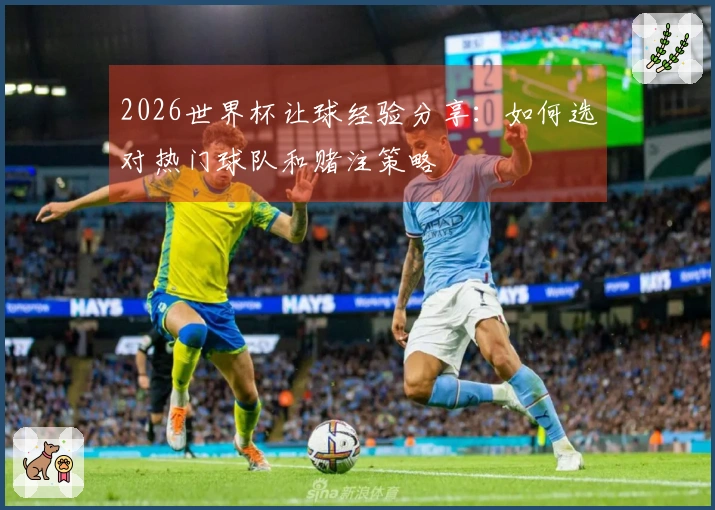 2026世界杯让球经验分享：如何选对热门球队和赌注策略