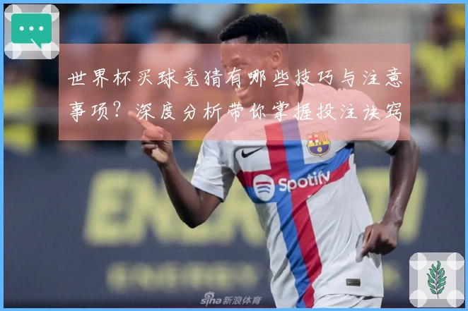 世界杯买球竞猜有哪些技巧与注意事项？深度分析带你掌握投注诀窍