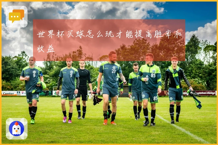 世界杯买球怎么玩才能提高胜率和收益