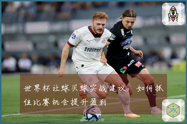 世界杯让球买球实战建议，如何抓住比赛机会提升盈利