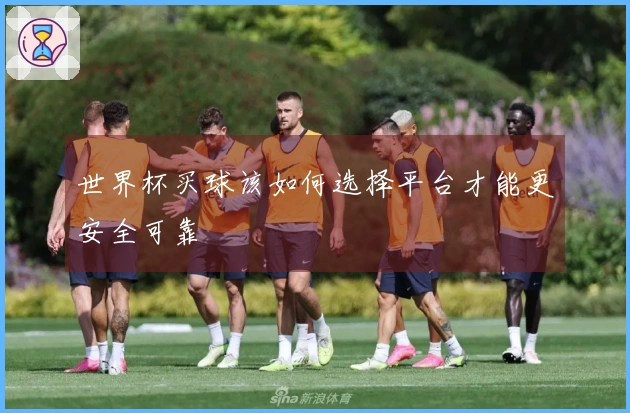 世界杯买球该如何选择平台才能更安全可靠