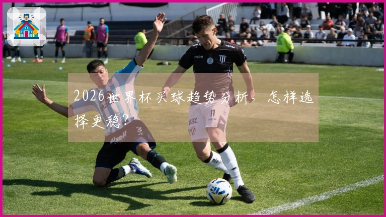 2026世界杯买球趋势分析，怎样选择更稳？