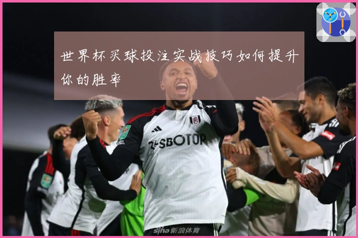 世界杯买球投注实战技巧如何提升你的胜率