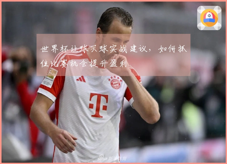 世界杯让球买球实战建议，如何抓住比赛机会提升盈利