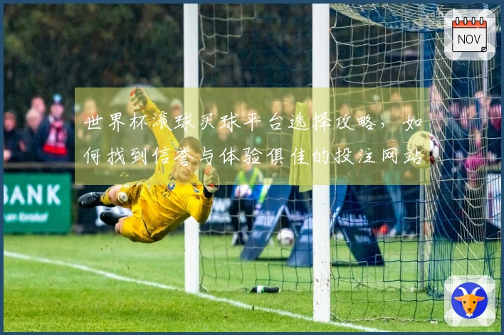 世界杯滚球买球平台选择攻略，如何找到信誉与体验俱佳的投注网站