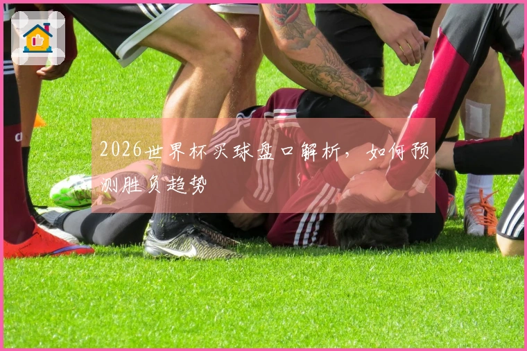 2026世界杯买球盘口解析，如何预测胜负趋势
