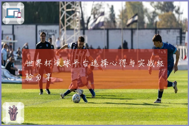 世界杯滚球平台选择心得与实战经验分享