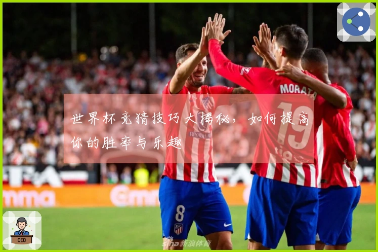 世界杯竞猜技巧大揭秘，如何提高你的胜率与乐趣