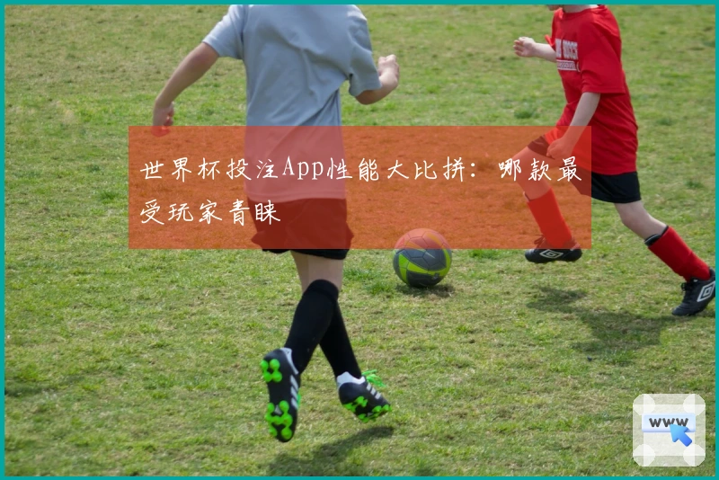 世界杯投注App性能大比拼：哪款最受玩家青睐
