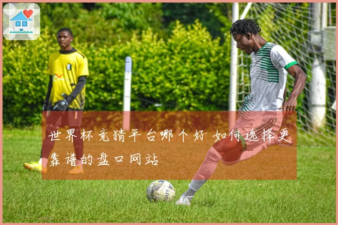 世界杯竞猜平台哪个好 如何选择更靠谱的盘口网站