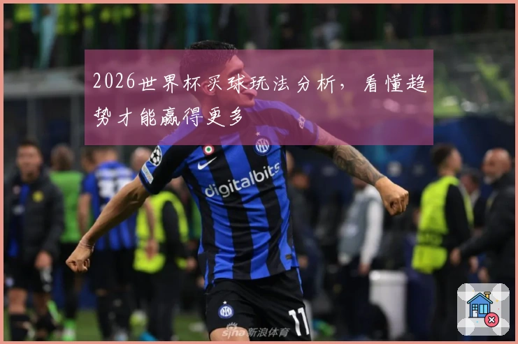2026世界杯买球玩法分析，看懂趋势才能赢得更多