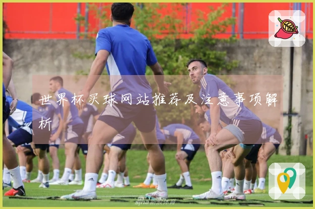世界杯买球网站推荐及注意事项解析