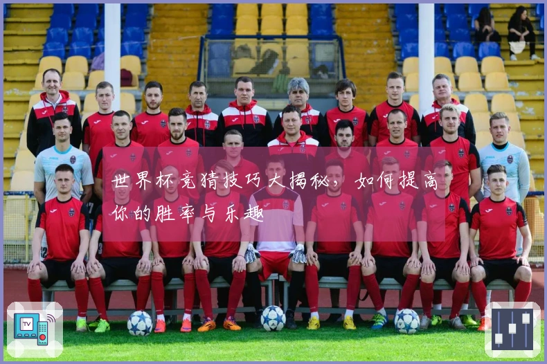 世界杯竞猜技巧大揭秘，如何提高你的胜率与乐趣
