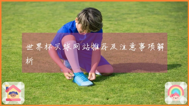 世界杯买球网站推荐及注意事项解析