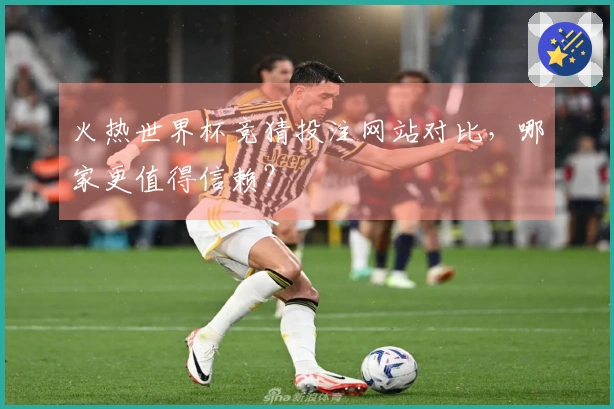 火热世界杯竞猜投注网站对比，哪家更值得信赖？