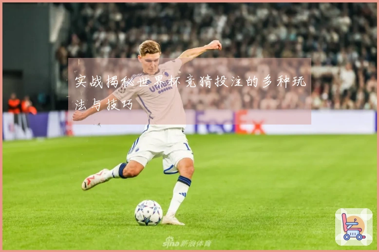 实战揭秘世界杯竞猜投注的多种玩法与技巧
